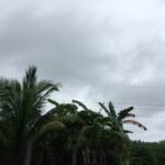 World Vision prepares as Typhoon Rai nears Philippines